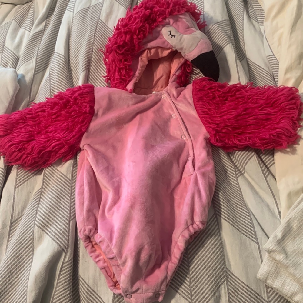 Pottery Barn  flamingo Costume 🦩